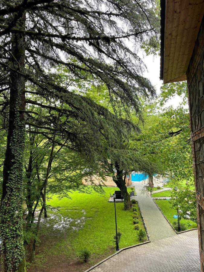 Wald Hotel Lagodekhi Exterior foto